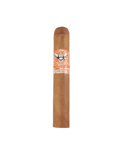 CHARUTO LOS CATEDRATICOS ROBUSTO DELICIA